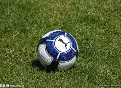 揭秘申花内,部风云,力拼巅峰,贪玩娱乐官网玩家首选,贪玩娱乐官网,贪玩娱乐官网游戏平台