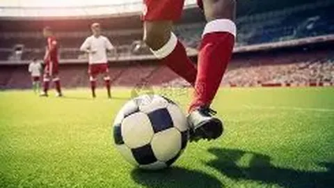 贪玩娱乐 产品 121841 vos